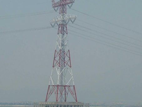 浩口原种场电力铁塔案例